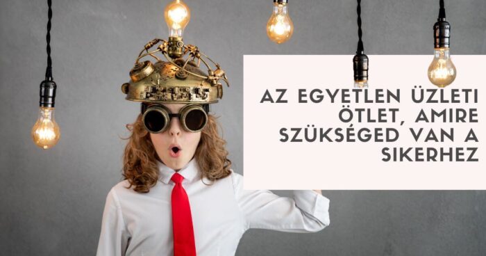 Az egyetlen üzleti ötlet, amire szükséged van a sikerhez