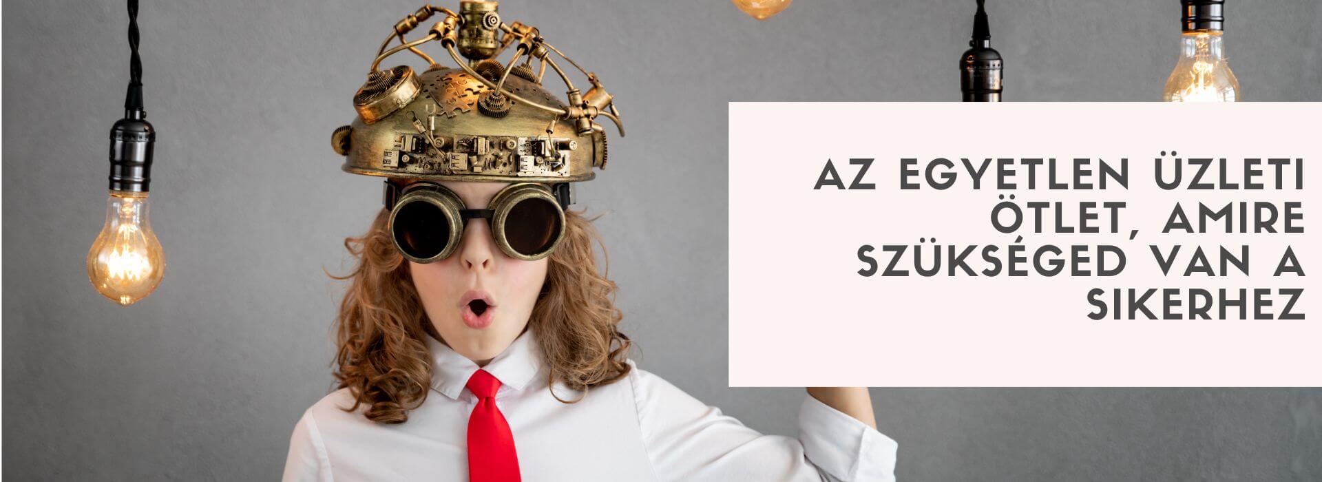 Az egyetlen üzleti ötlet, amire szükséged van a sikerhez